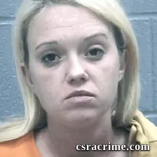 Donna Haynes booking photo
