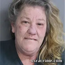 Donna Lacey booking photo