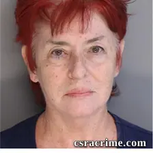 Donna Lovinger Fellin booking photo