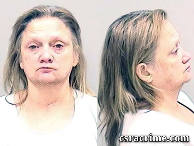 Donna Morin booking photo