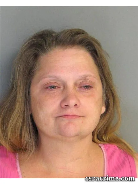 Donna Morin booking photo