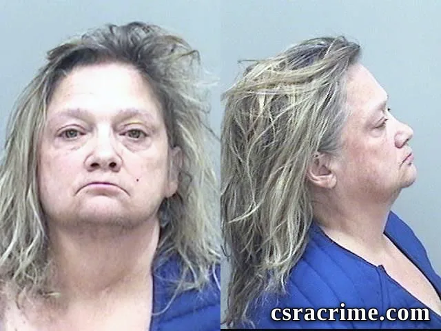 Donna Morin booking photo