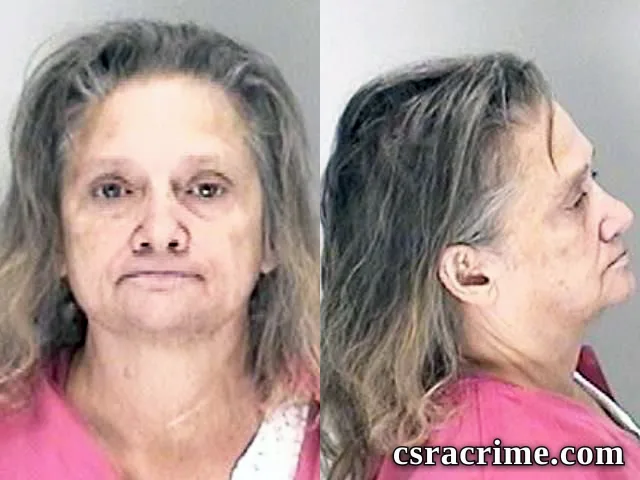 Donna Morin booking photo