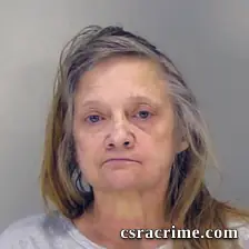 Donna Morin booking photo