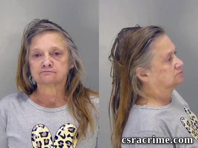 Donna Morin booking photo