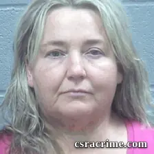 Donna Palmer booking photo