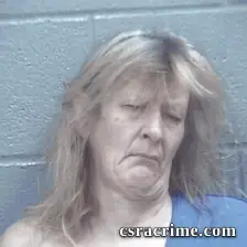 Donna Quarles booking photo
