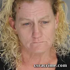 Donna Sartin booking photo