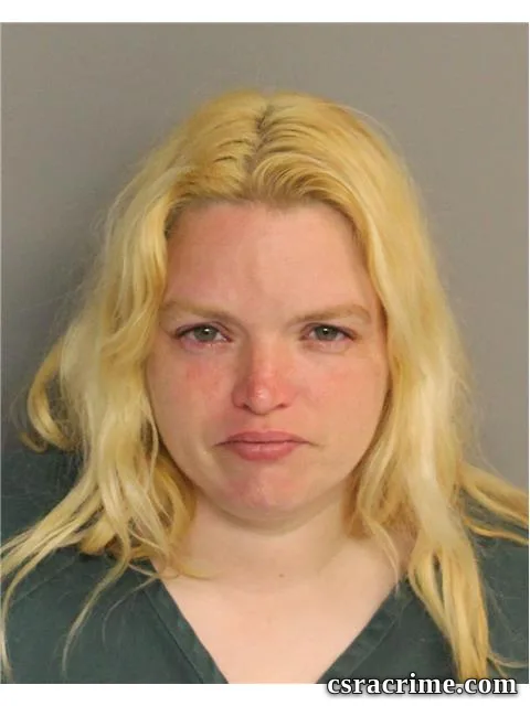 Donna Scott booking photo