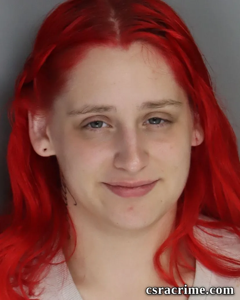 Donna Weisner booking photo