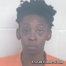 Dontavious Keon Womble booking photo