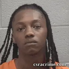 Dontevia Garieon Wells booking photo
