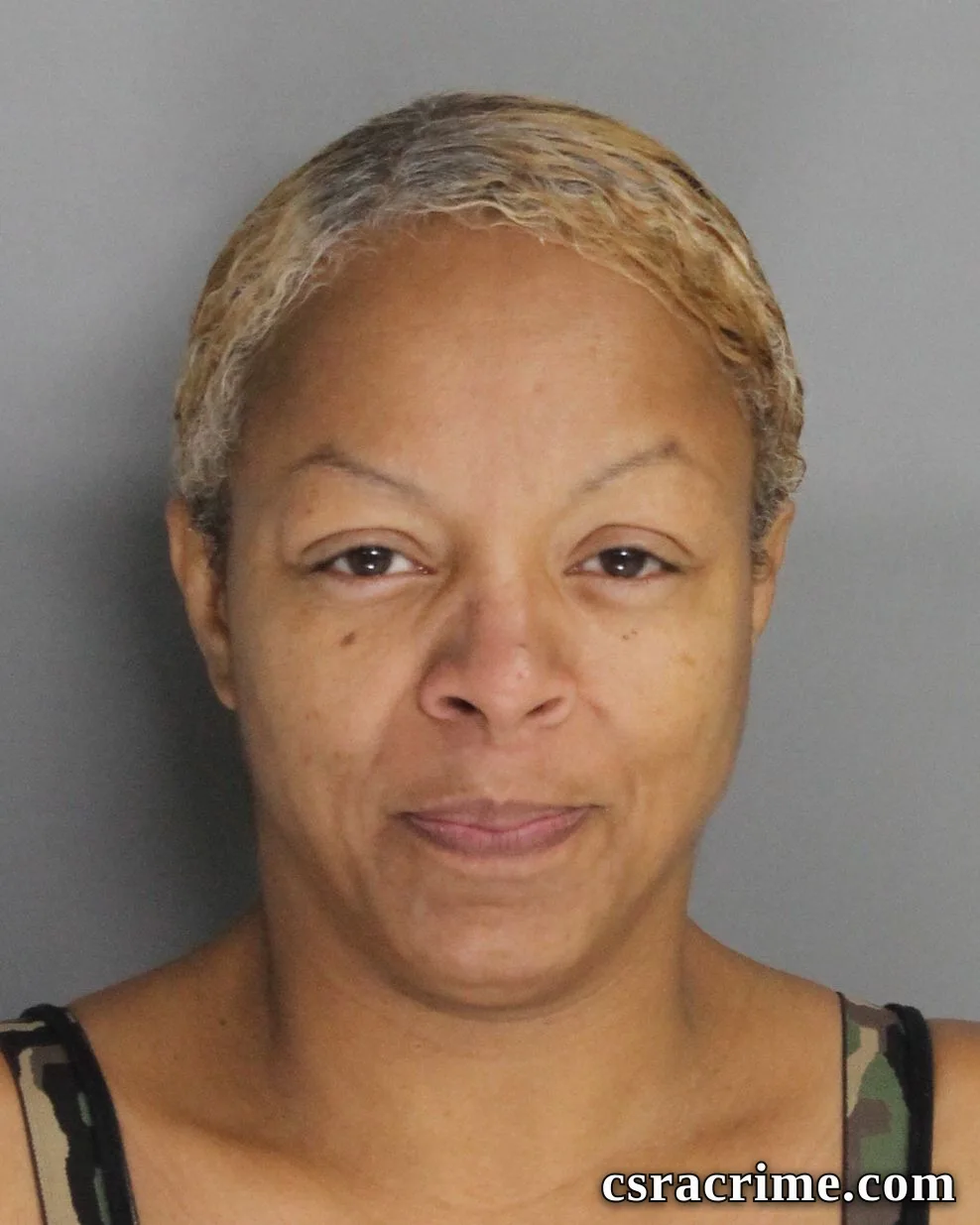 Dorothy Cheatham booking photo
