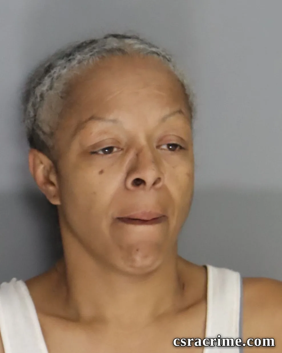 Dorothy Cheatham booking photo