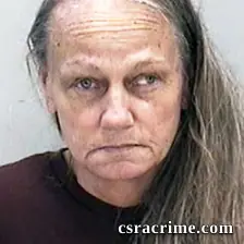 Dorthea Schultz booking photo