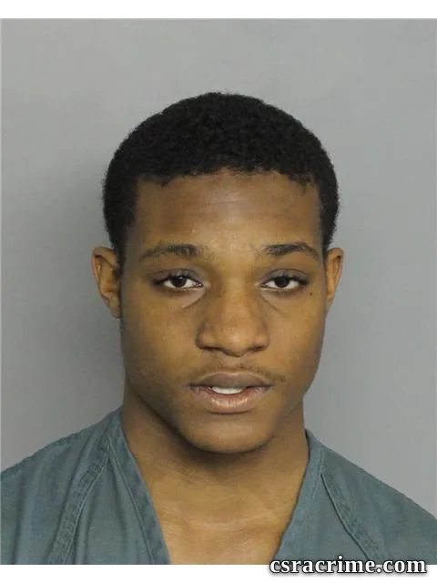 Drashawnt Ingram booking photo