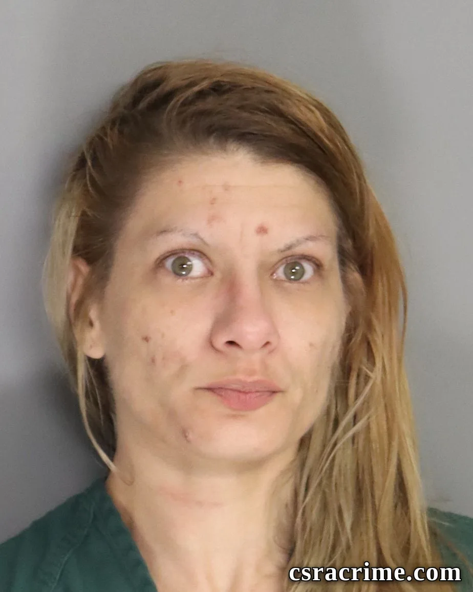 Dresidon Mixon booking photo