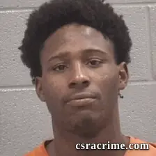Dsiah Tyricky Coleman booking photo