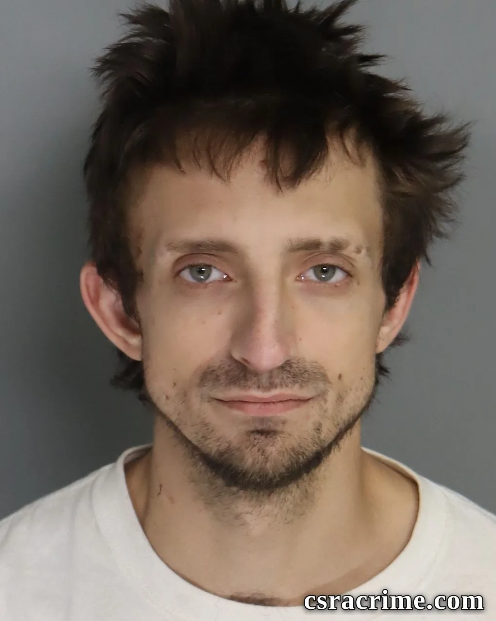 Dustin Cheeks booking photo