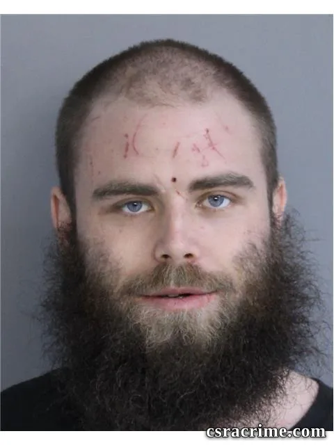Dustin Webster booking photo