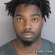 Dustin Williamson booking photo