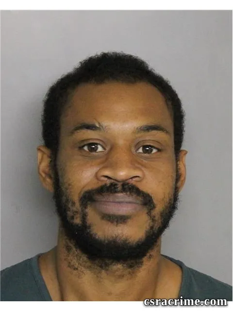 Dyan Triplin booking photo