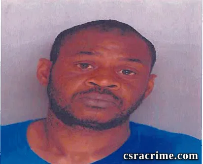 Dyan Triplin booking photo