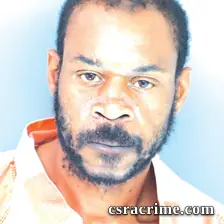 Dyan Triplin booking photo