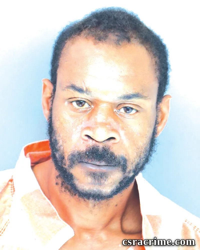 Dyan Triplin booking photo