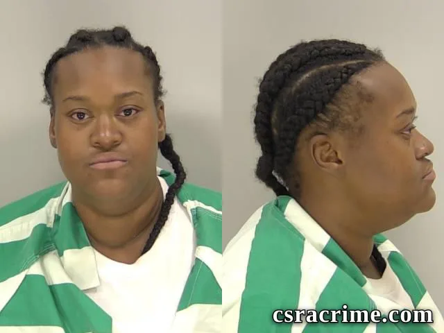 Dyanna Hall booking photo