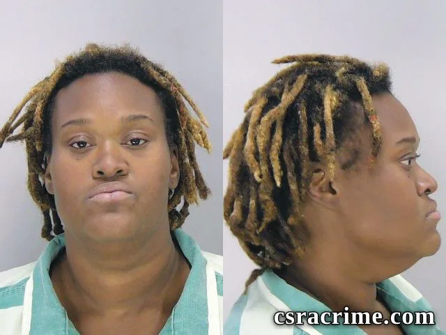 Dyanna Hall booking photo