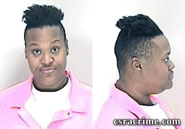 Dyanna Hall booking photo