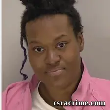 Dyanna Hall booking photo