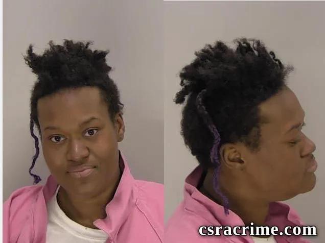 Dyanna Hall booking photo