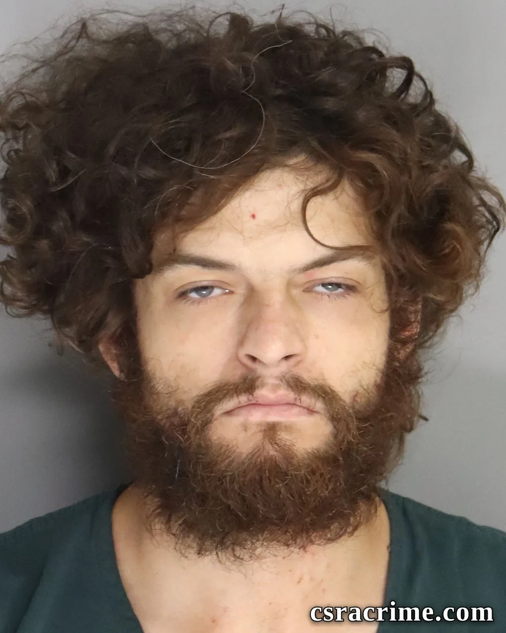 Dylan Davis booking photo