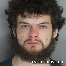 Dylan Davis booking photo