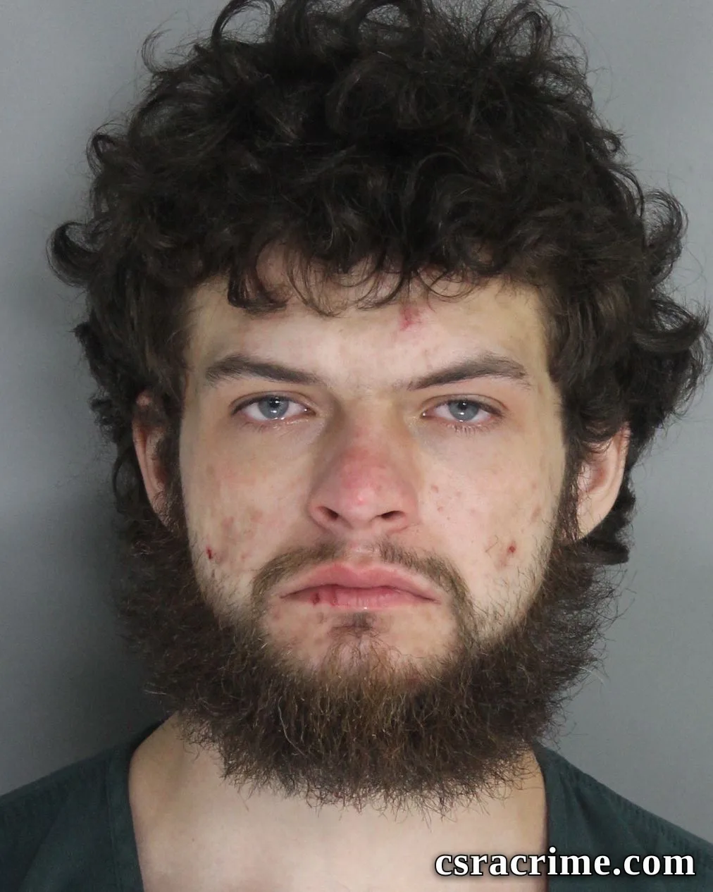 Dylan Davis booking photo
