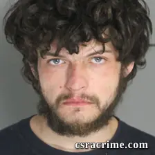 Dylan Davis booking photo