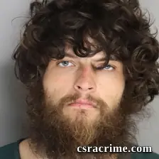 Dylan Davis booking photo