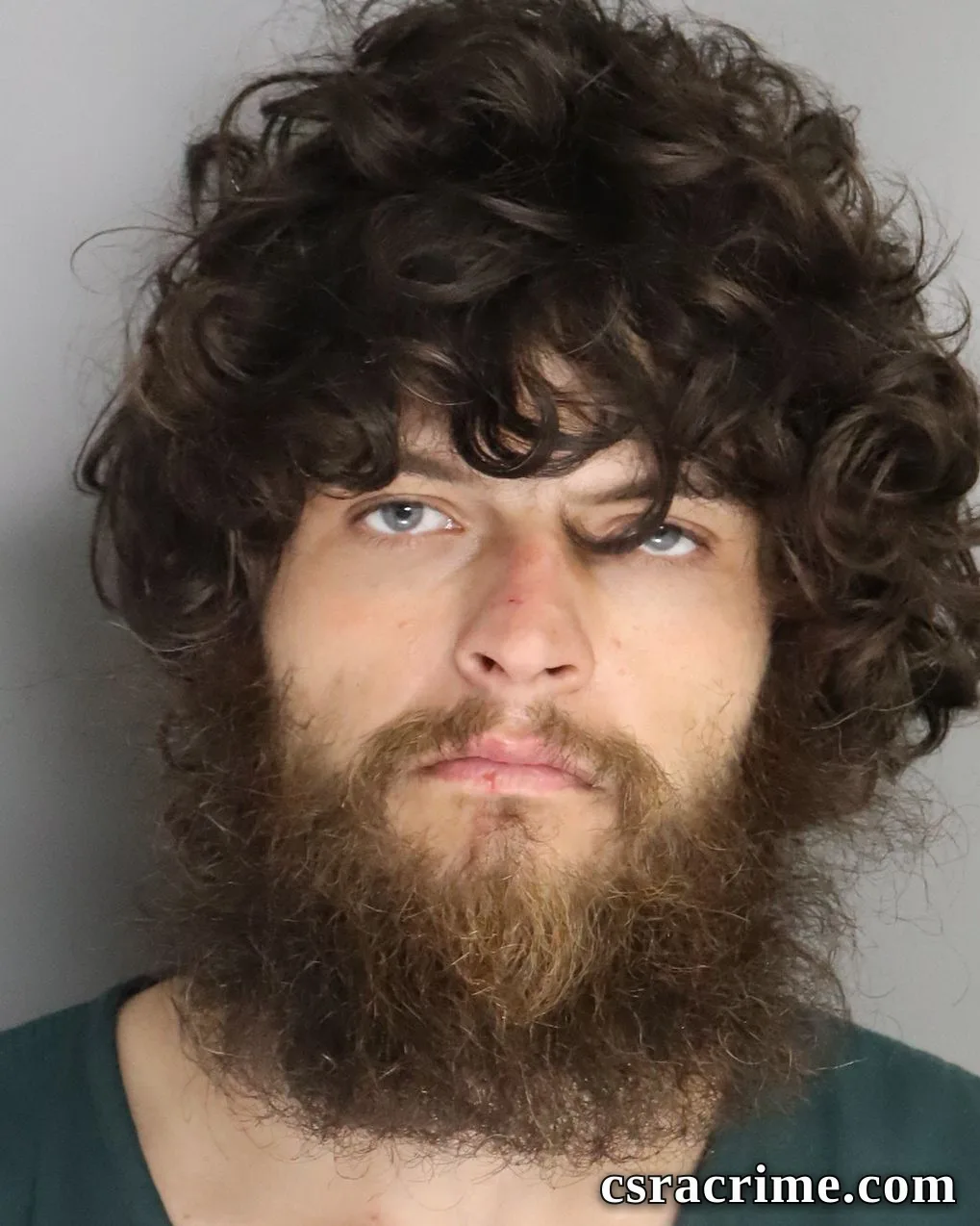 Dylan Davis booking photo