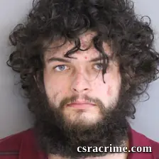 Dylan Davis booking photo