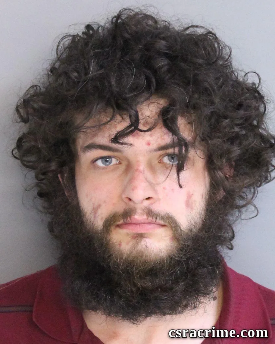 Dylan Davis booking photo