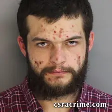 Dylan Davis booking photo