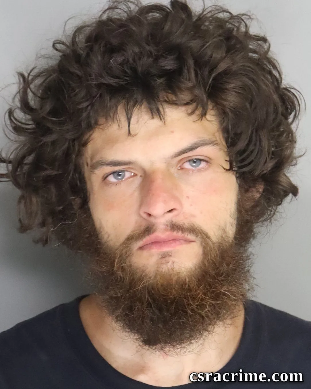 Dylan Davis booking photo