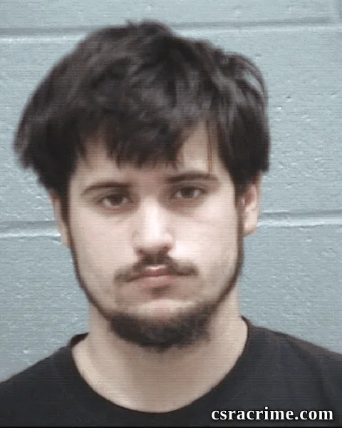 Dylan Long booking photo
