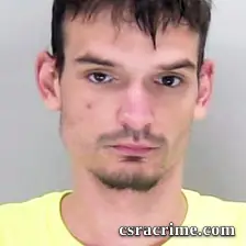 Dylan Widener booking photo