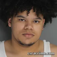 Dylan Willard booking photo