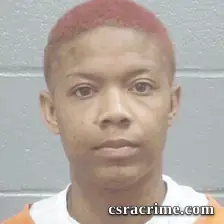 Ebony Johnson booking photo