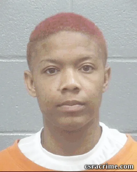Ebony Johnson booking photo