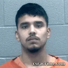 Edgar Perez booking photo
